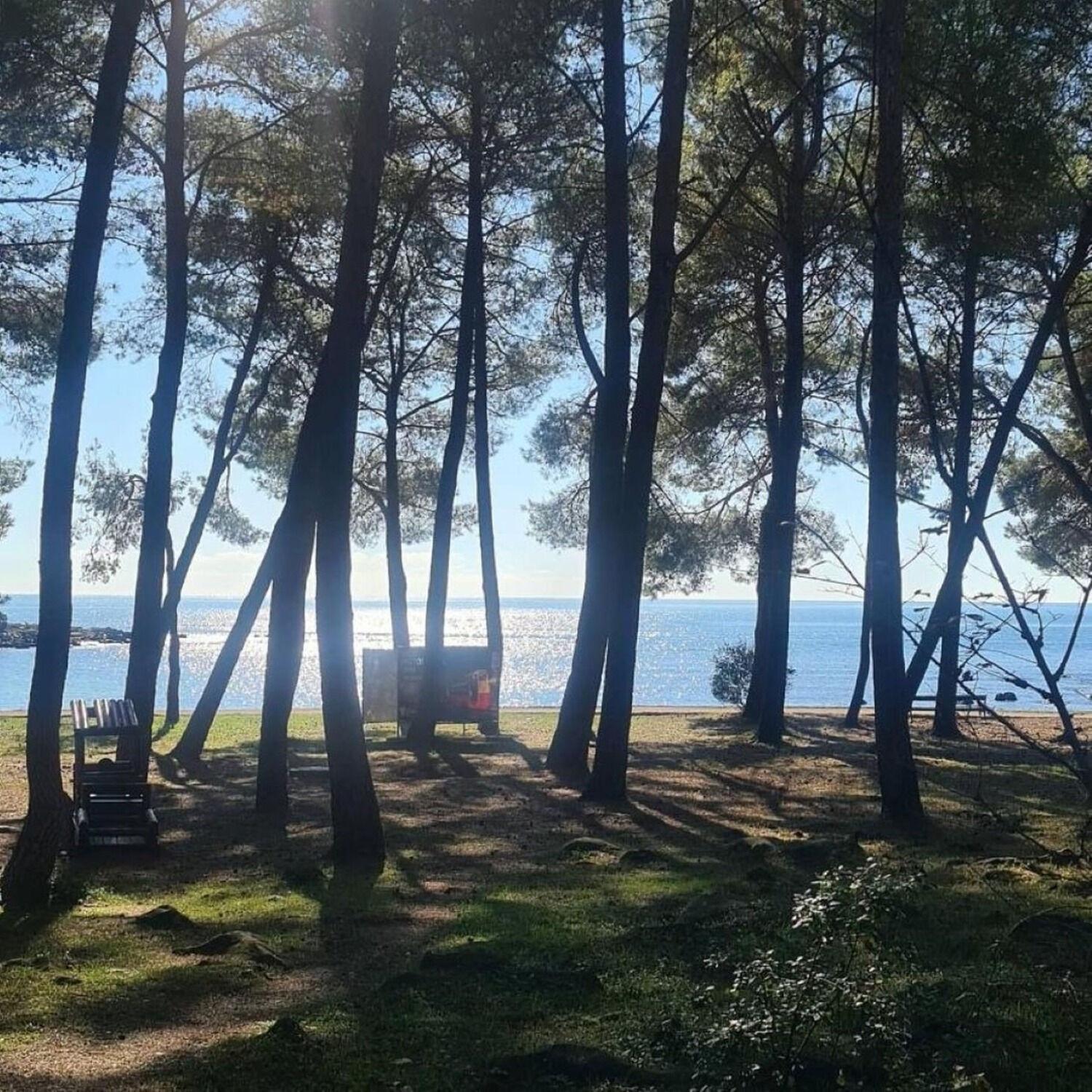 רוביני Apartments Berto - 500M To The Beach מראה חיצוני תמונה